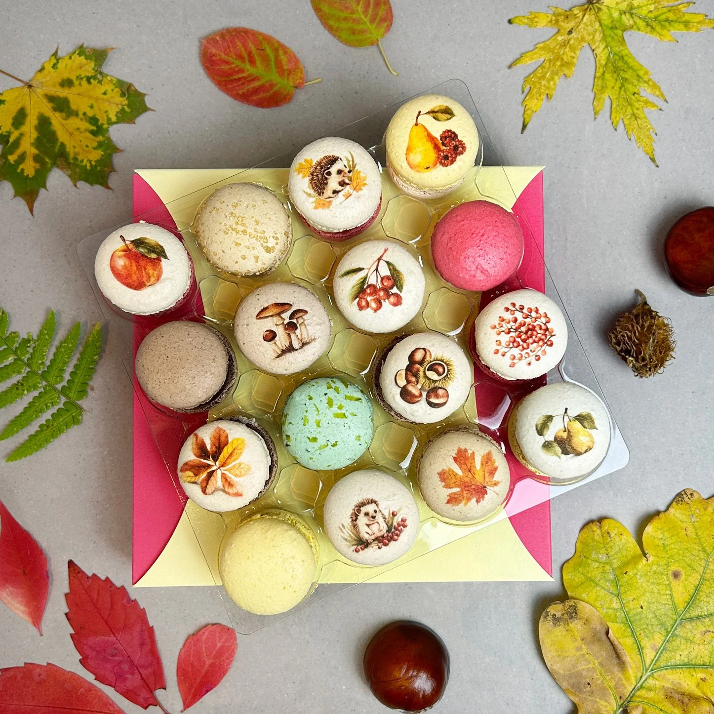 Herbstbox_24.jpg