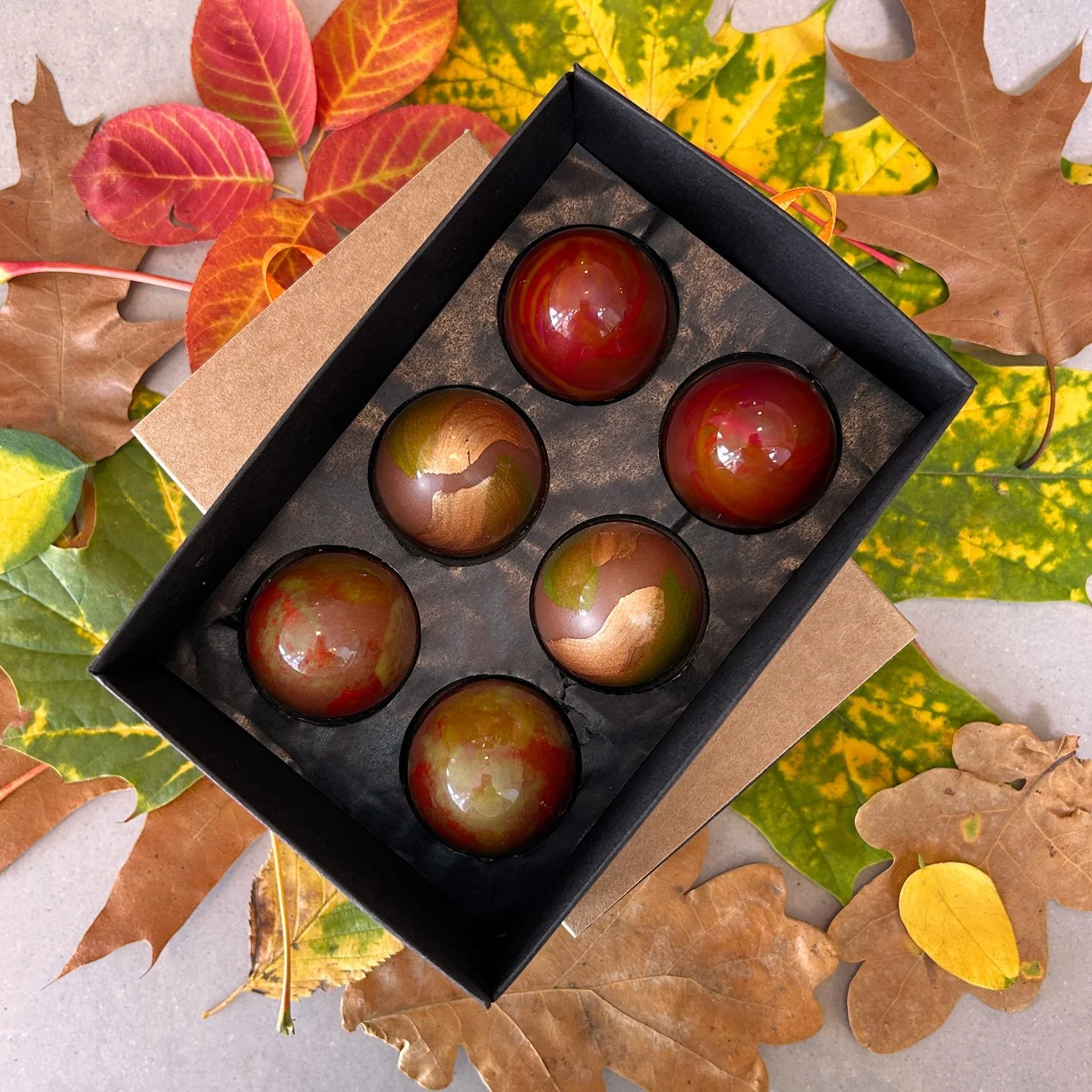 Herbst_Chocorons_1446.jpg