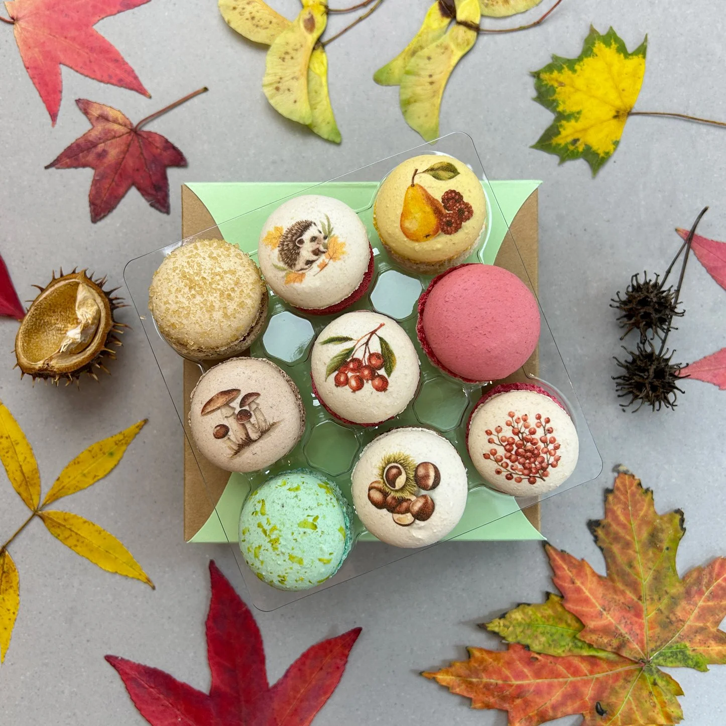 9er_herbst_4116.jpg