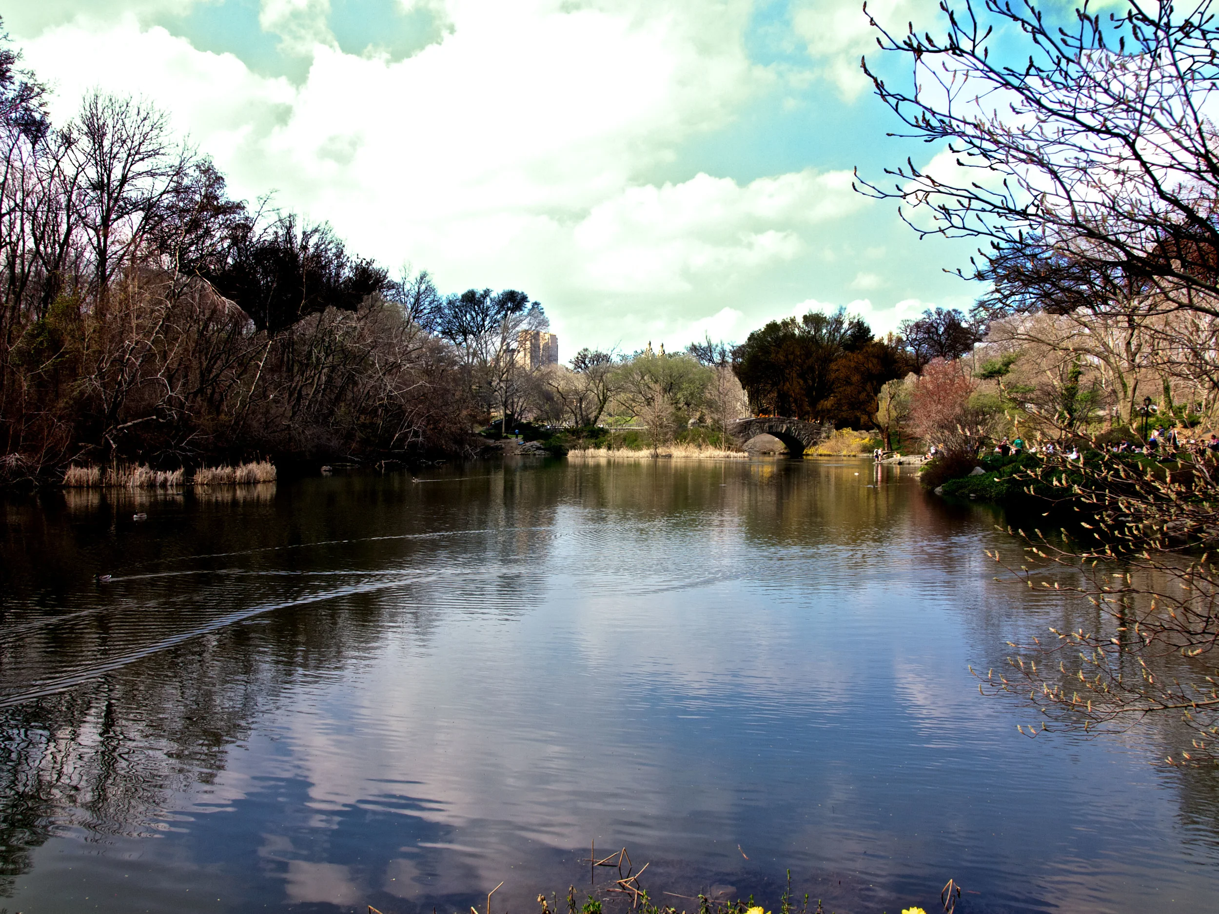 pond.jpg