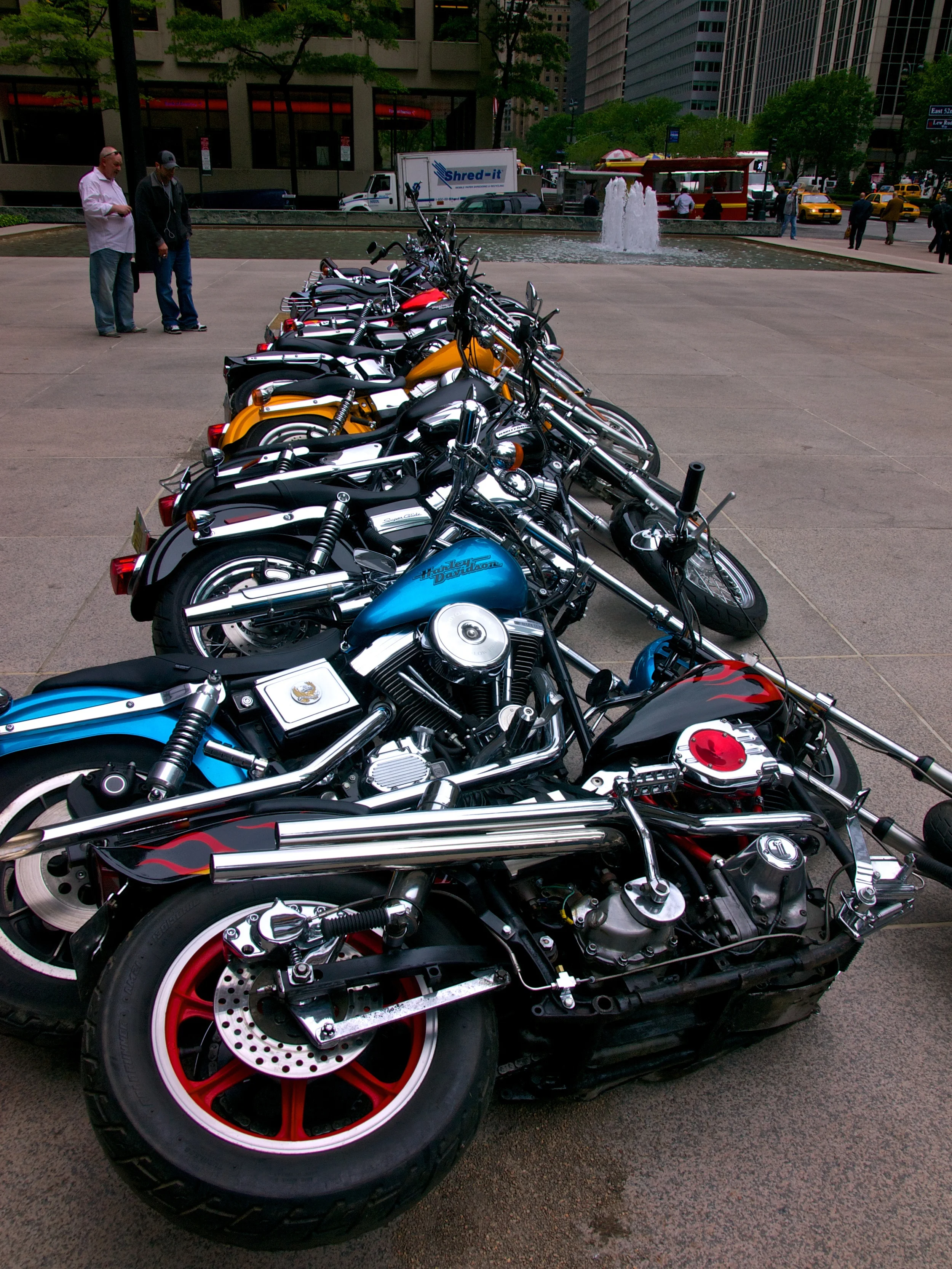 Harley Dominoes.jpg