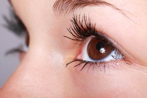 Corneal Transplants