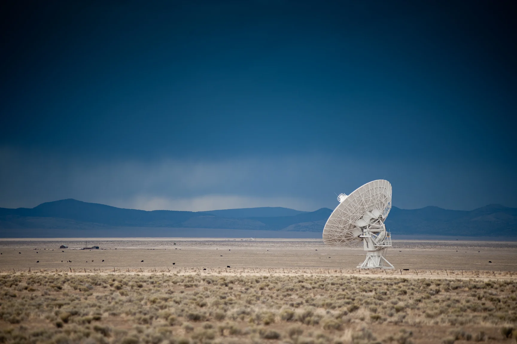 Plains of San Agustin, New Mexico, USA