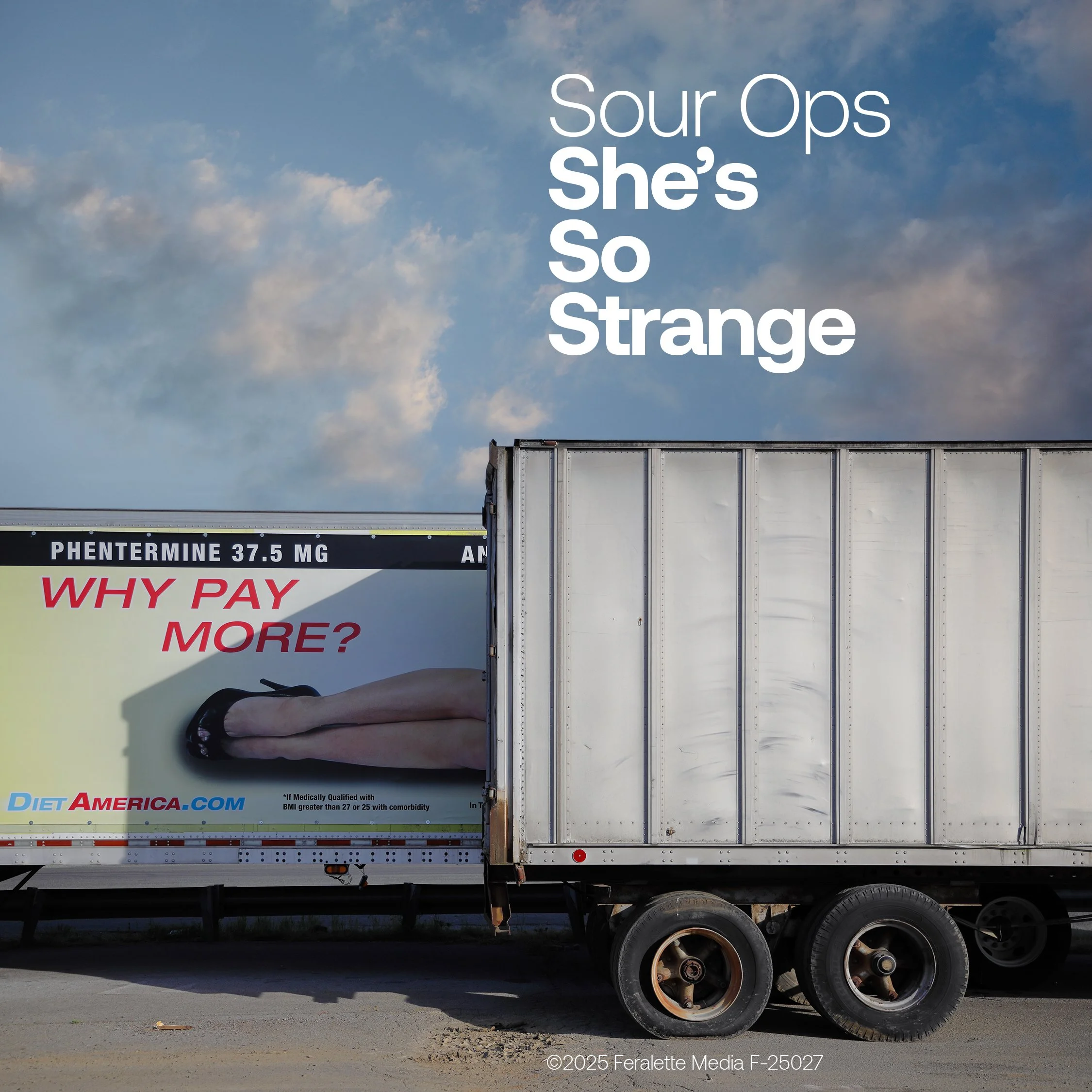 SO She's So Strange Cover 6-2-25.jpg