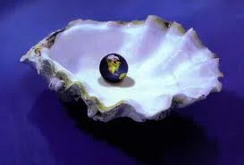 pearl in oyster.jpg