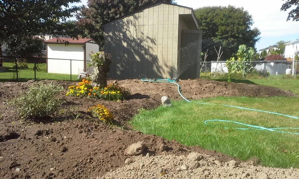 A view from the side