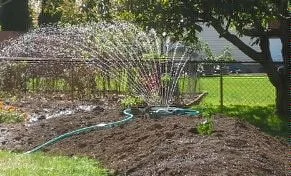 Watering the yard
