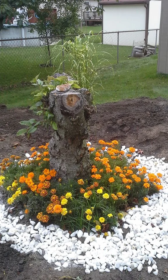 "Grandmother" with her "pearl" necklace