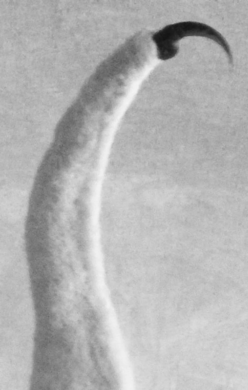 OLD SCHOOL GALLERY - Next Exhibition