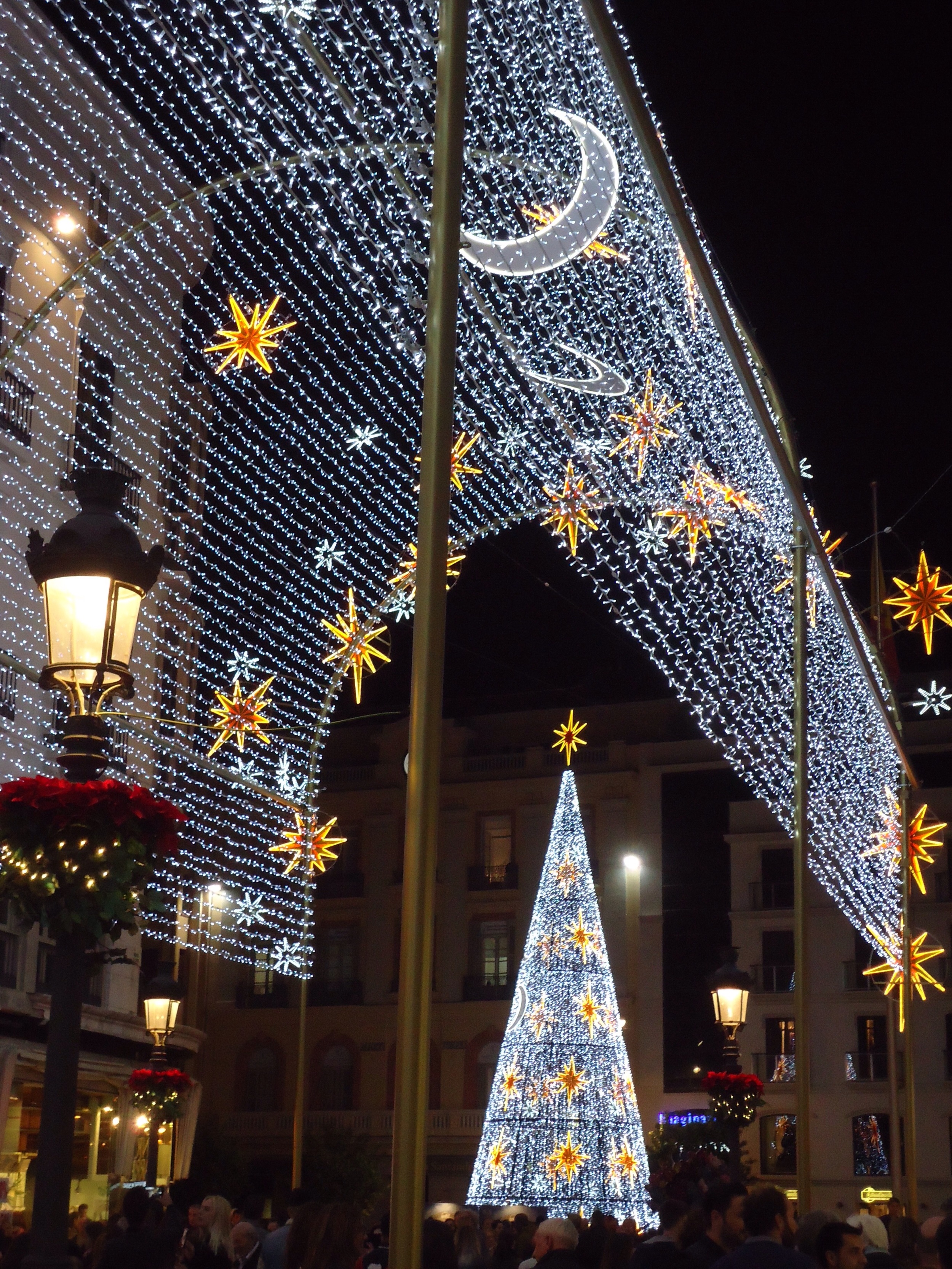 Christmas tree in Pza Constitution 