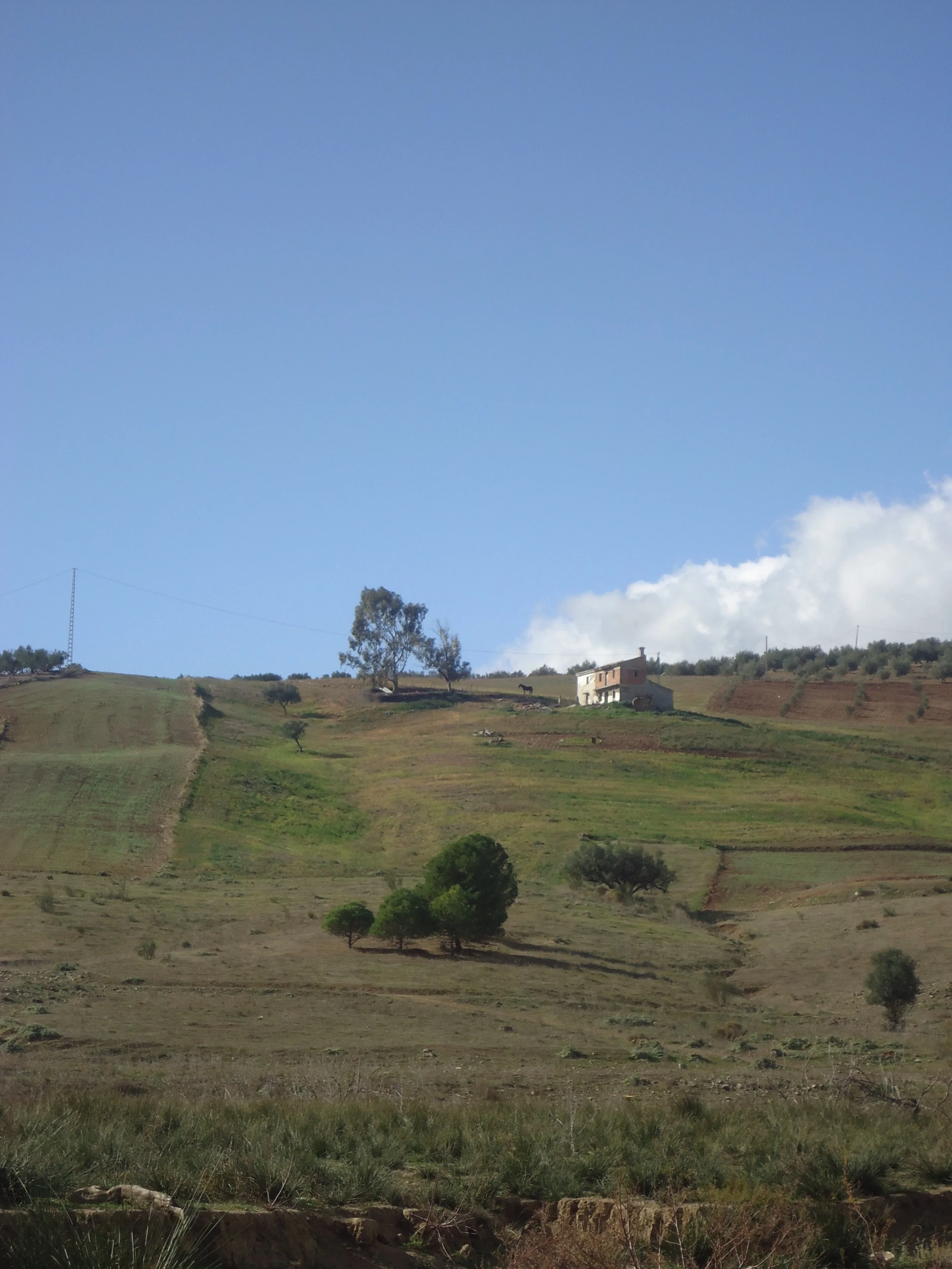 House on the hillside