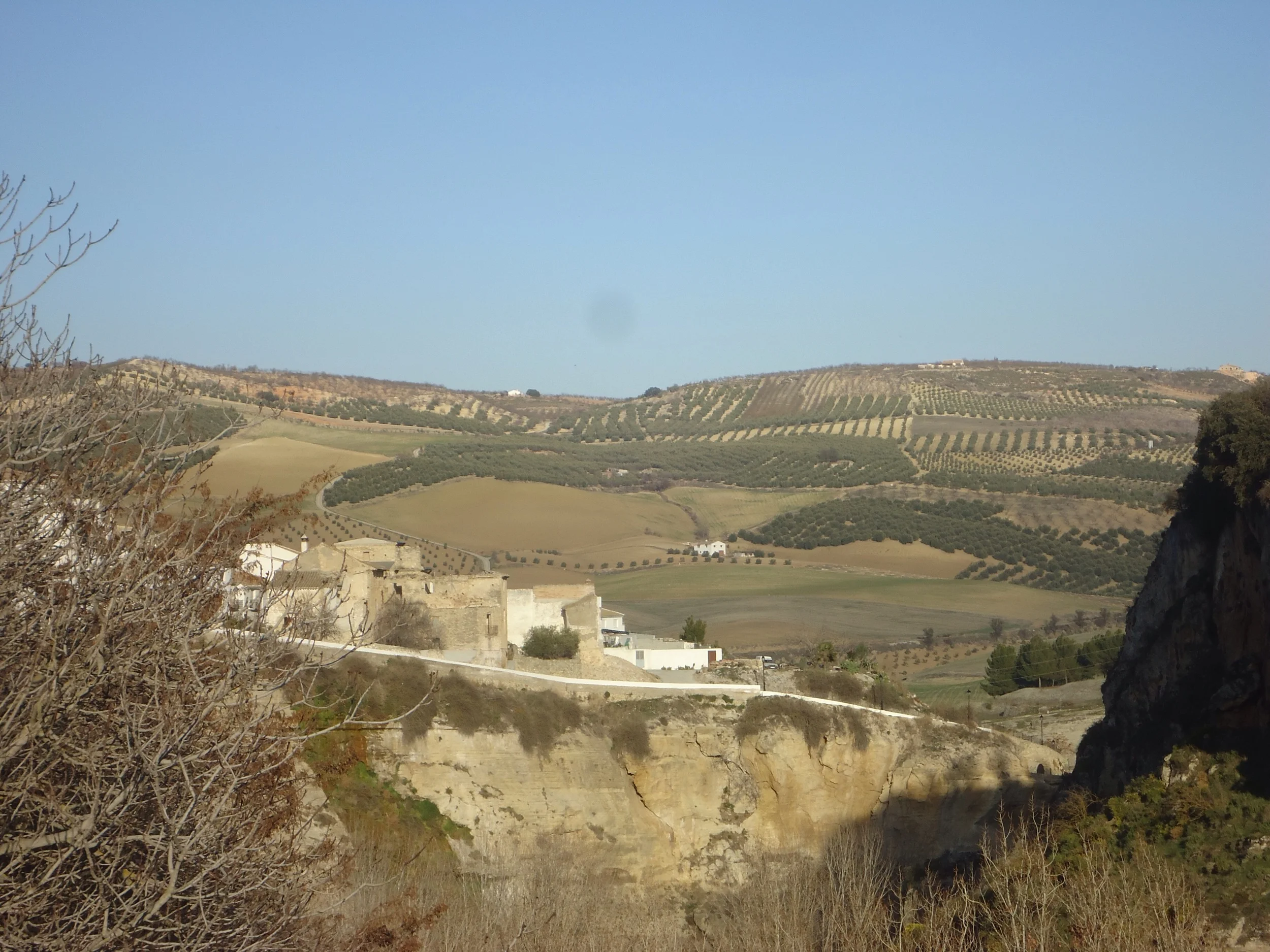 Nothing to do with the 'quake'...just a nice picture of an olive studded hillside!