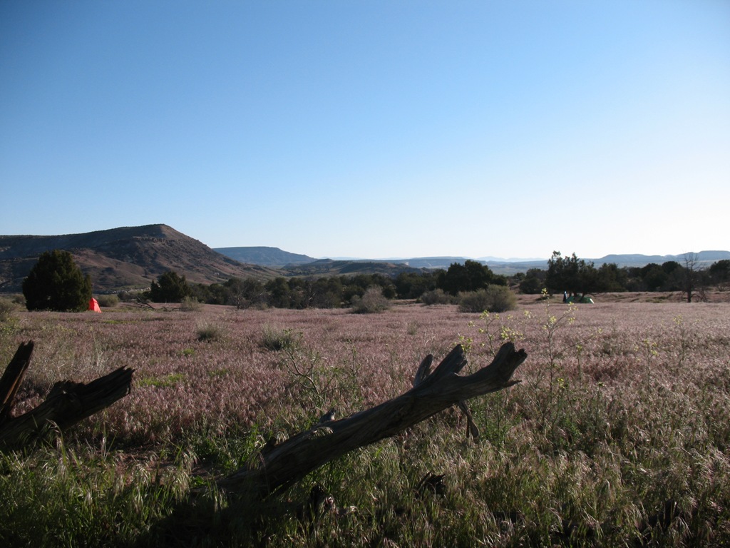 The view from my tent