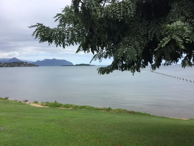 a view from the training hall