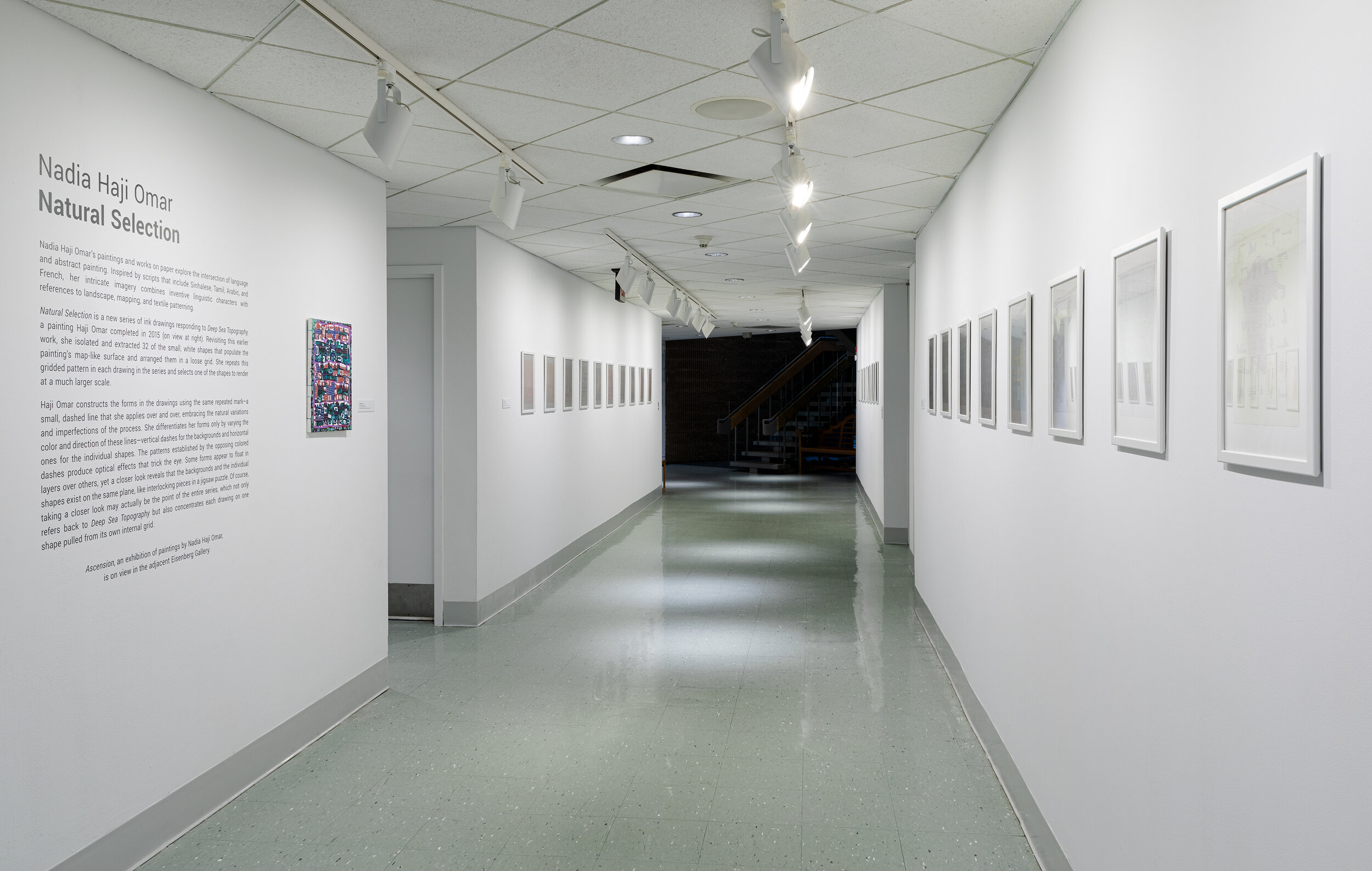 Natural Selection: Visual Arts Center of New Jersey (September 27, 2019 - February 9, 2020)