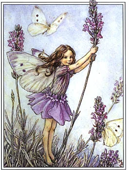 The Lavender Fairy 