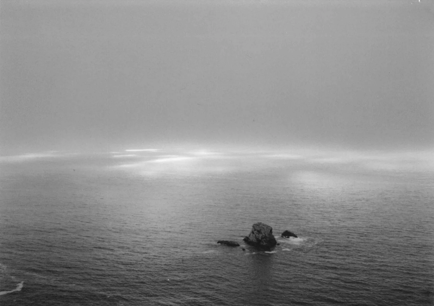 20200509_023 copy.jpg