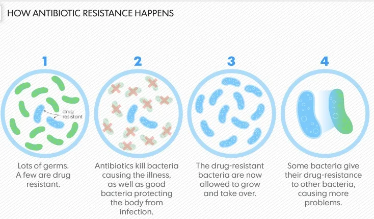 AntibioticResistance.jpg