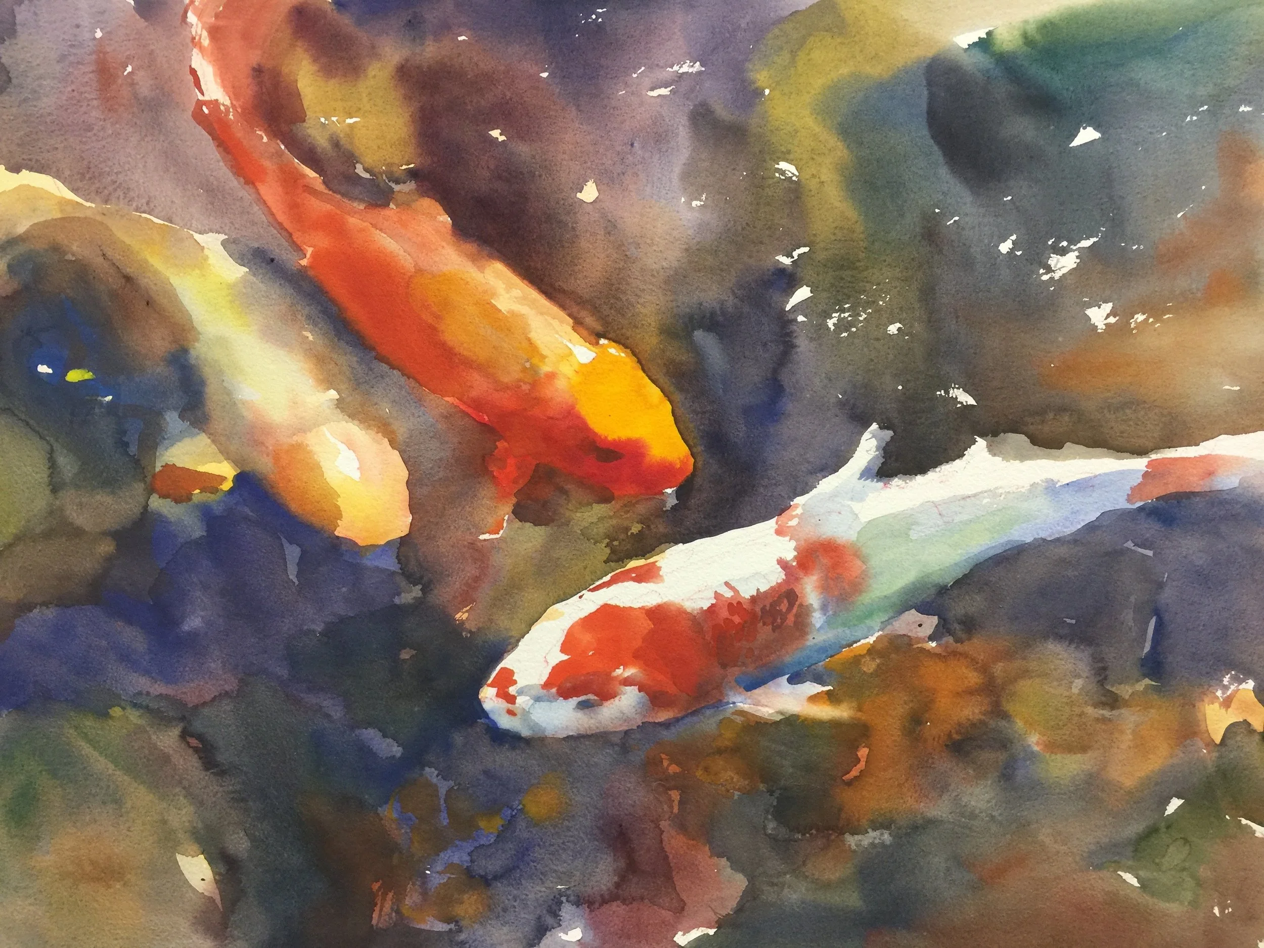 Koi         Watercolor