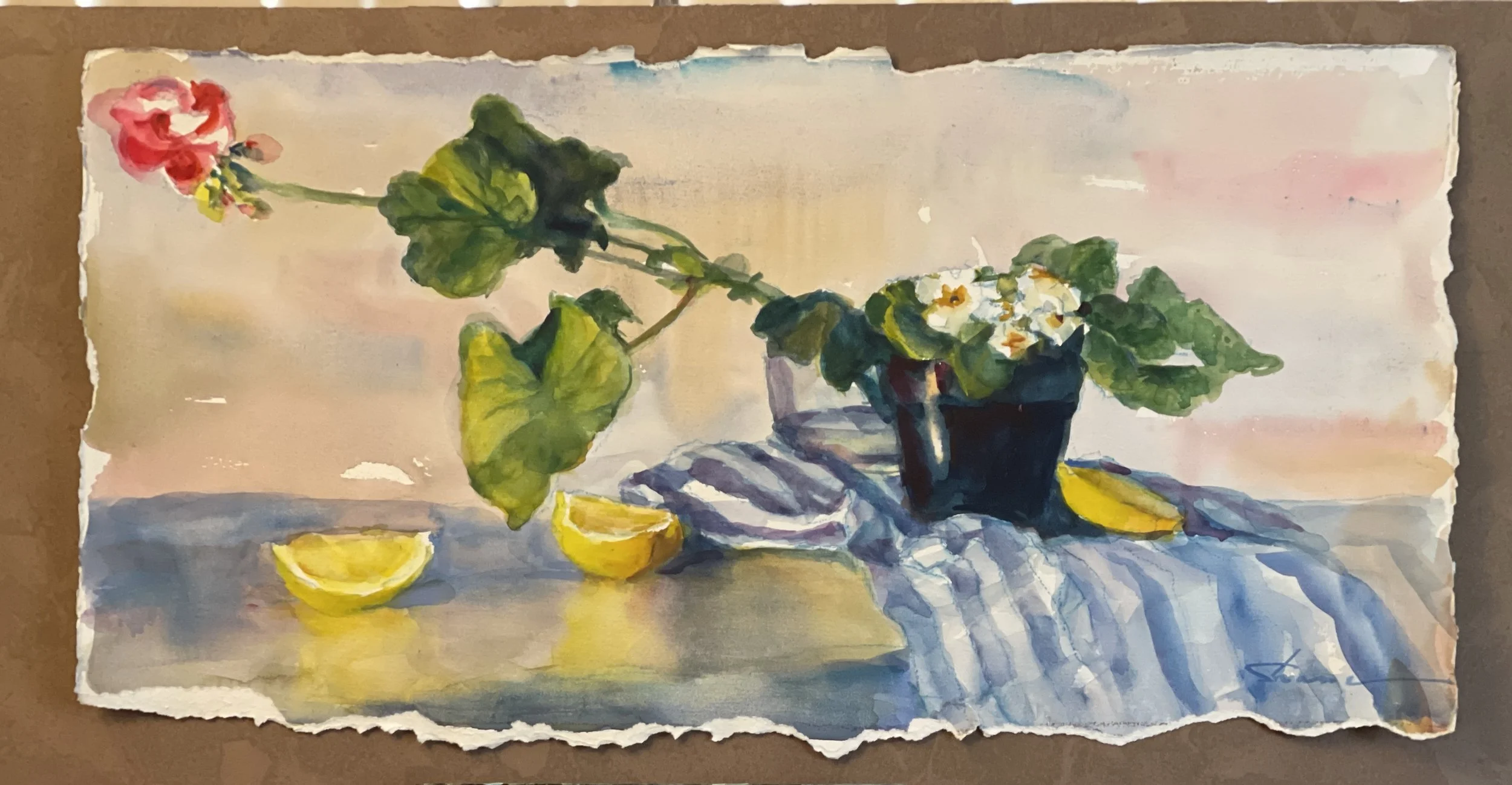 Winter Geranium
