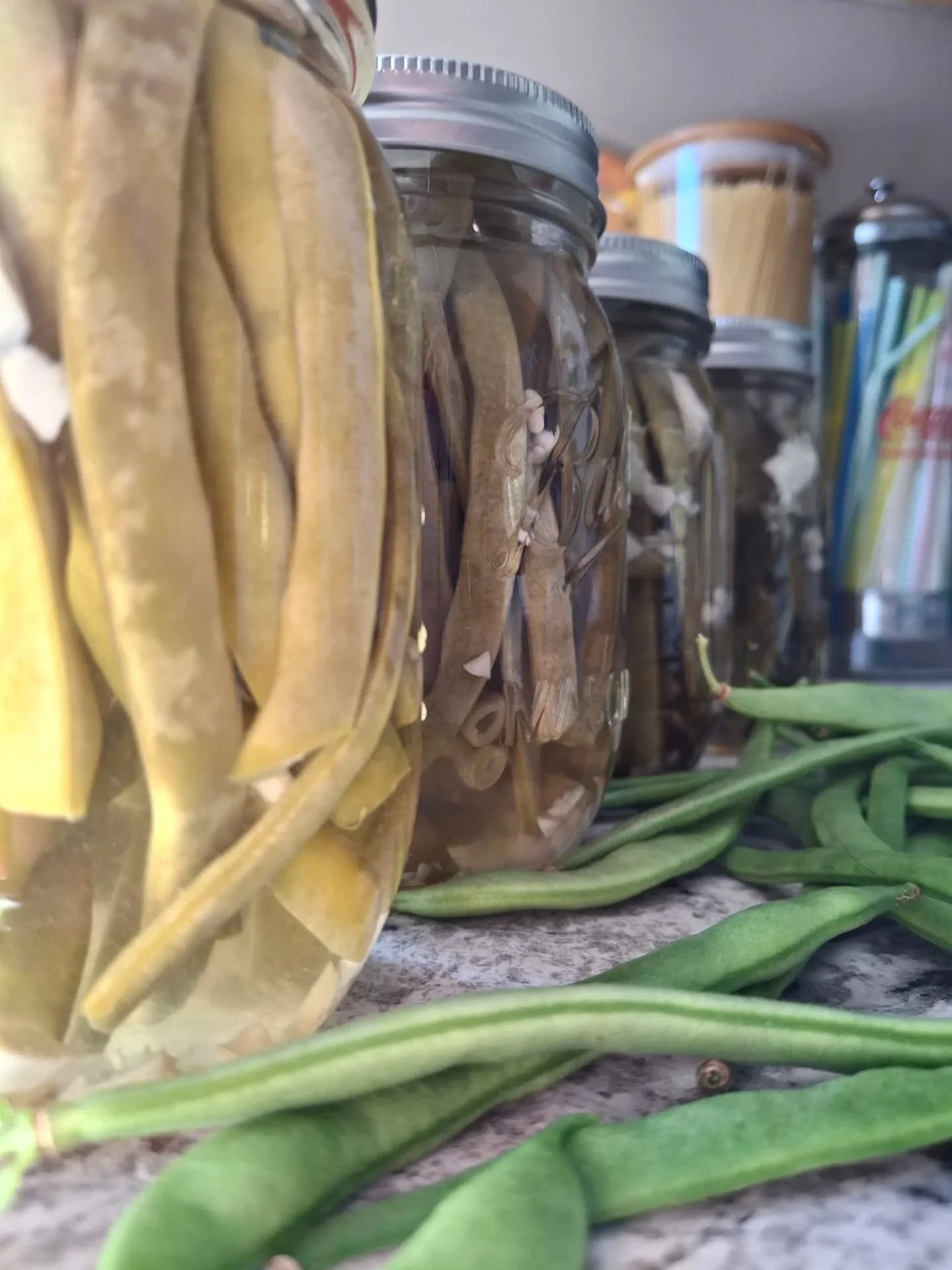 First time to can our own garden green beans! (technically the Hubs did). And they're still coming in hot even though it's October! Are you canning anything from your garden? I'd love to know! 🫛🫛🫛