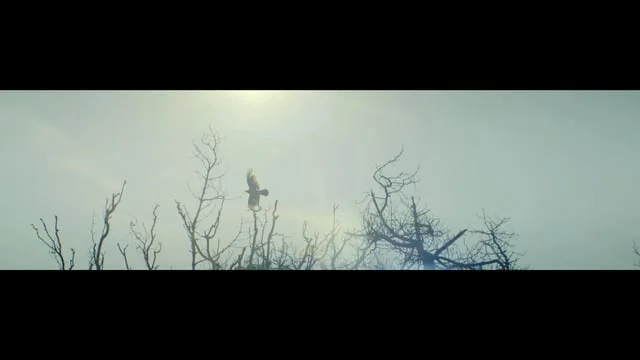 <span>brand-films, fashion</span>Philip Stein "Live In Tune"<strong>Found</strong>