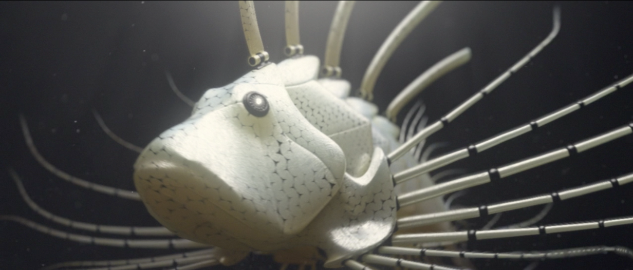 <span>art, technology</span>Pterois<strong>Neekoe</strong>
