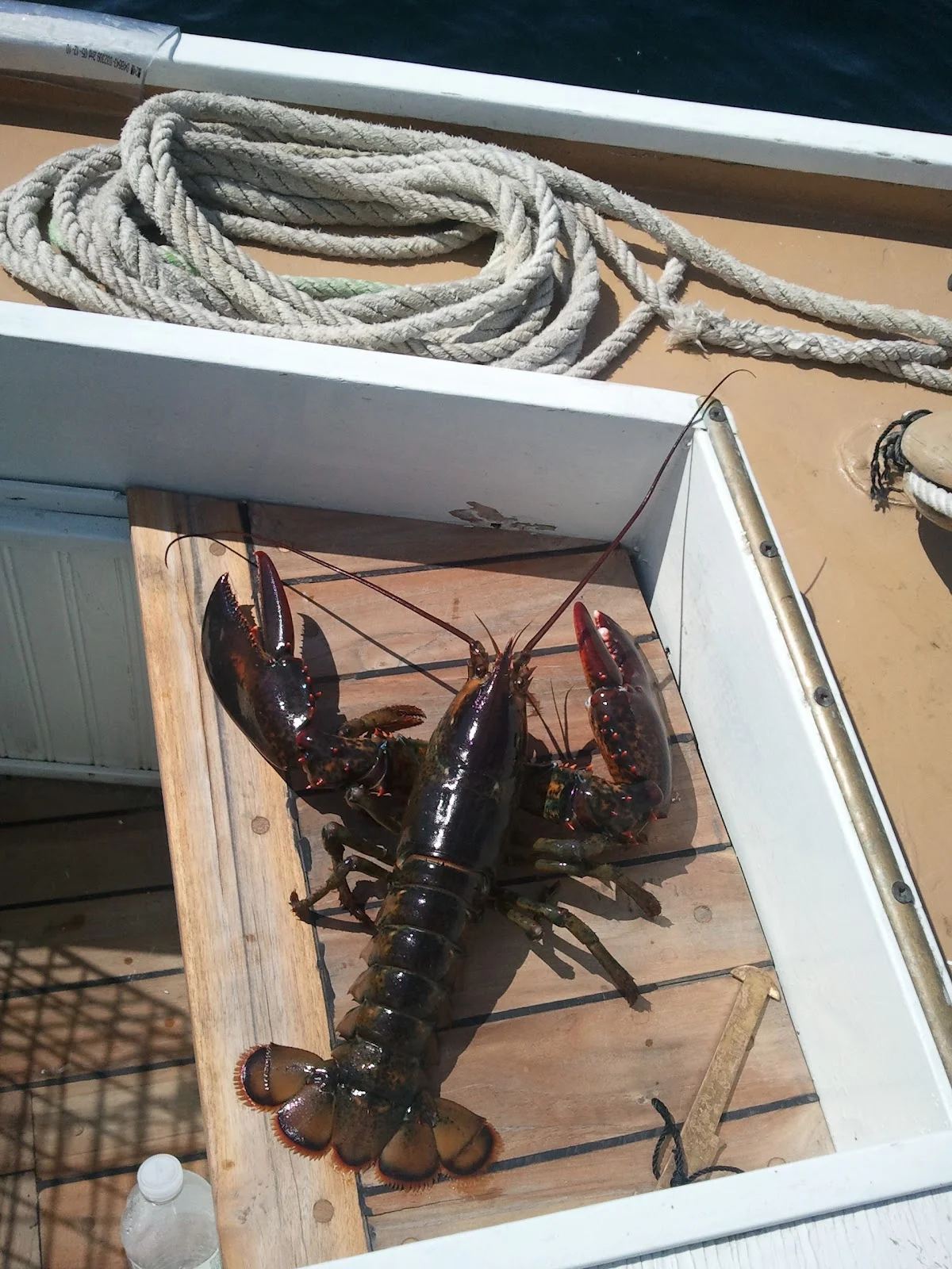 2012-06-21 10_22_50.jpg