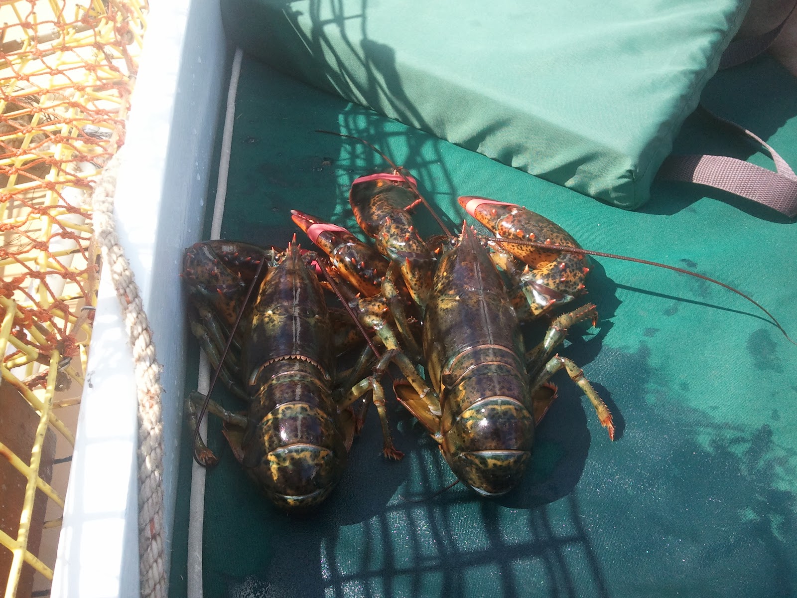 2012-07-31 10_23_58.jpg