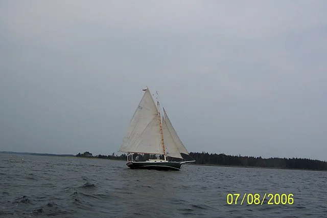 65.jpg
