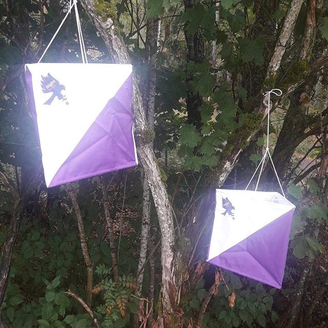 Get your own NightHawk control flag 99kr. Kj&oslash;p din egen NightHawk o-post til 99kr. #10mila #jukola #oringen2018 #oringen #orientering #orienteering #orienteringsl&oslash;b #nighthawkrelay