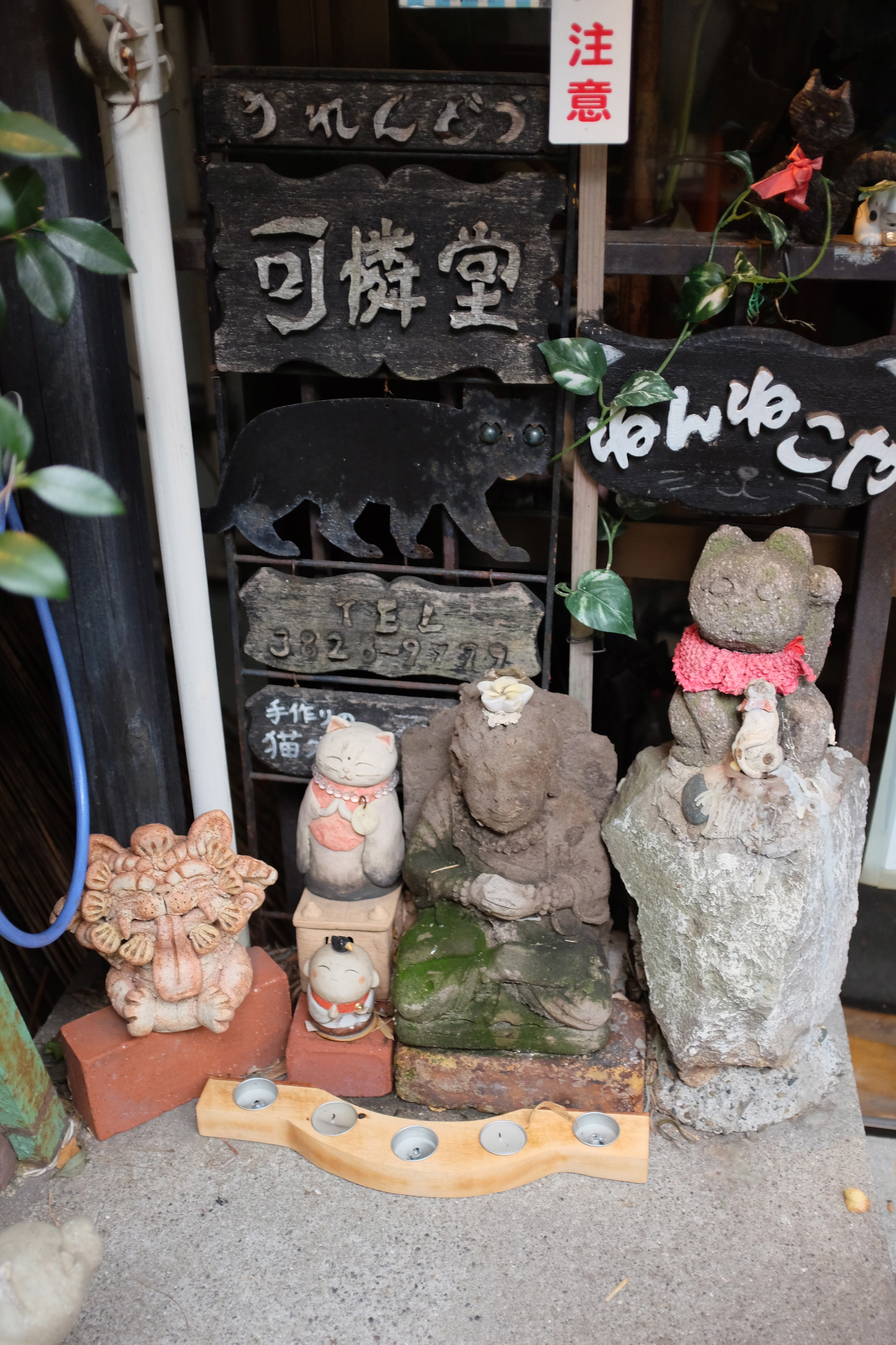 Cat shrine