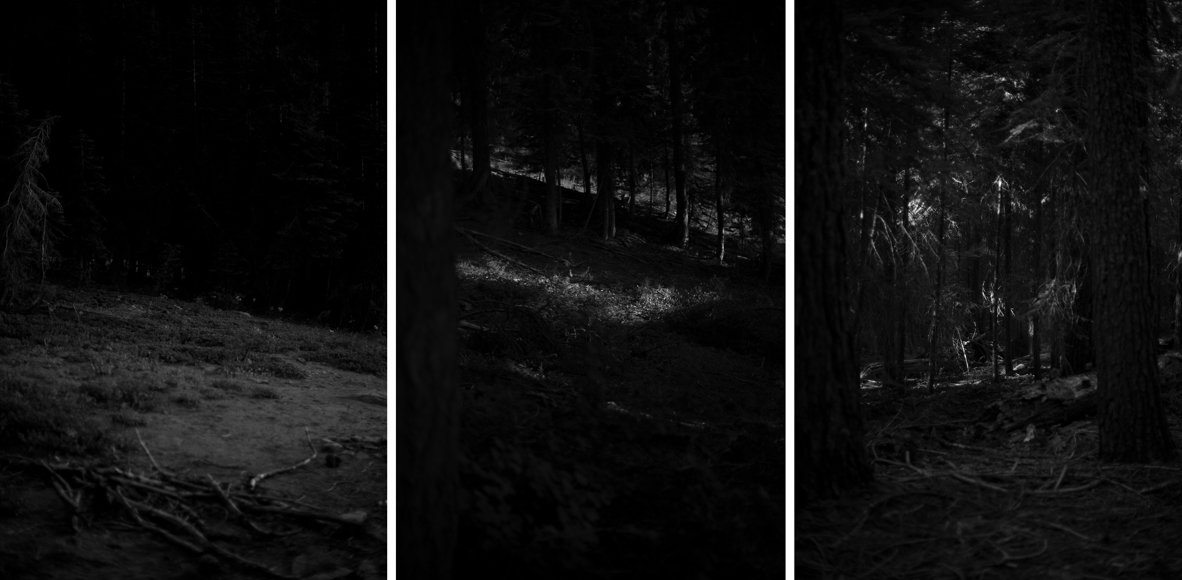 DarkWood.jpg