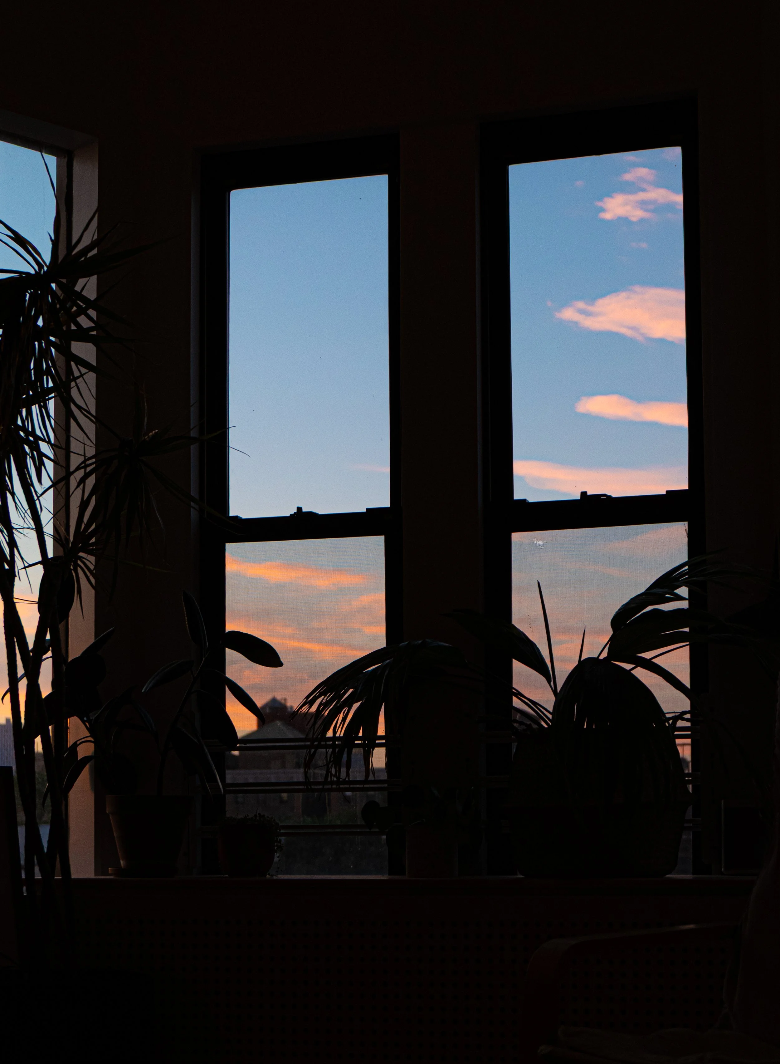 Summer night