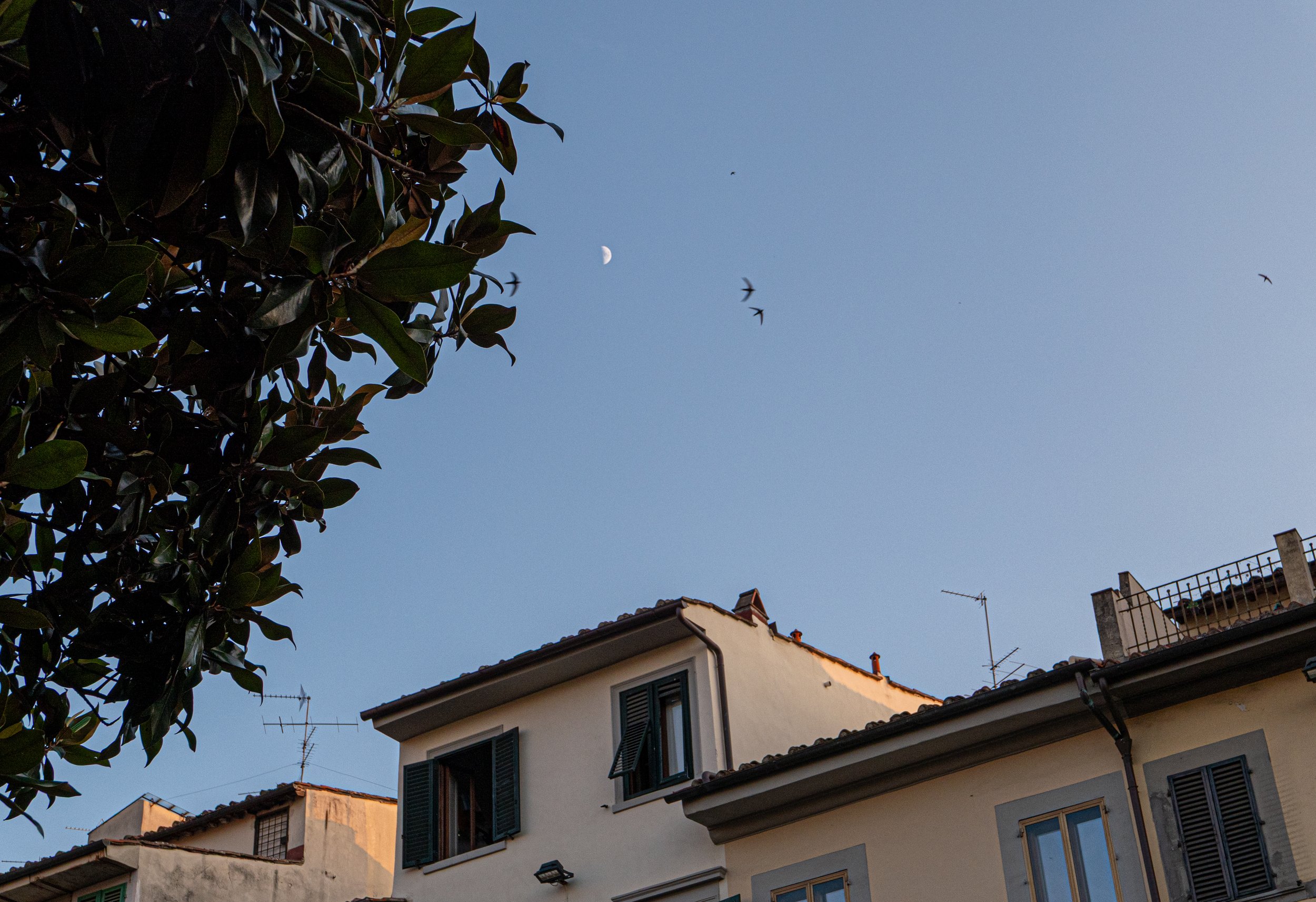  Florence, Italy 