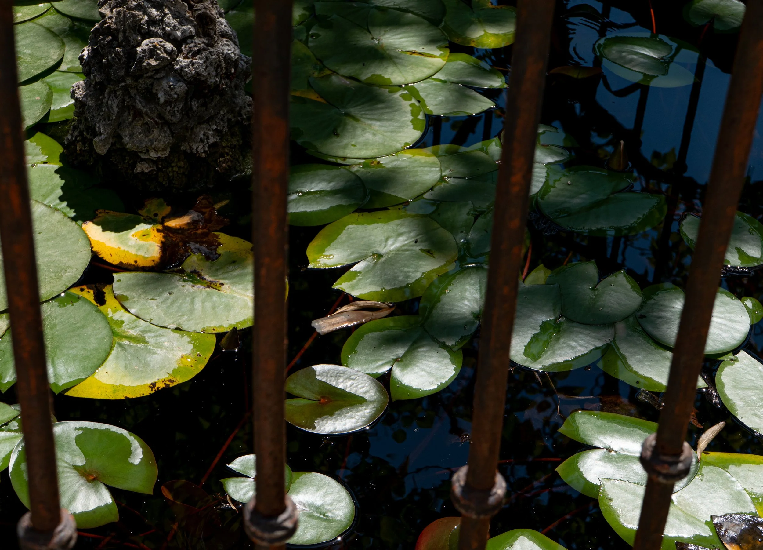 Boboli Gardens