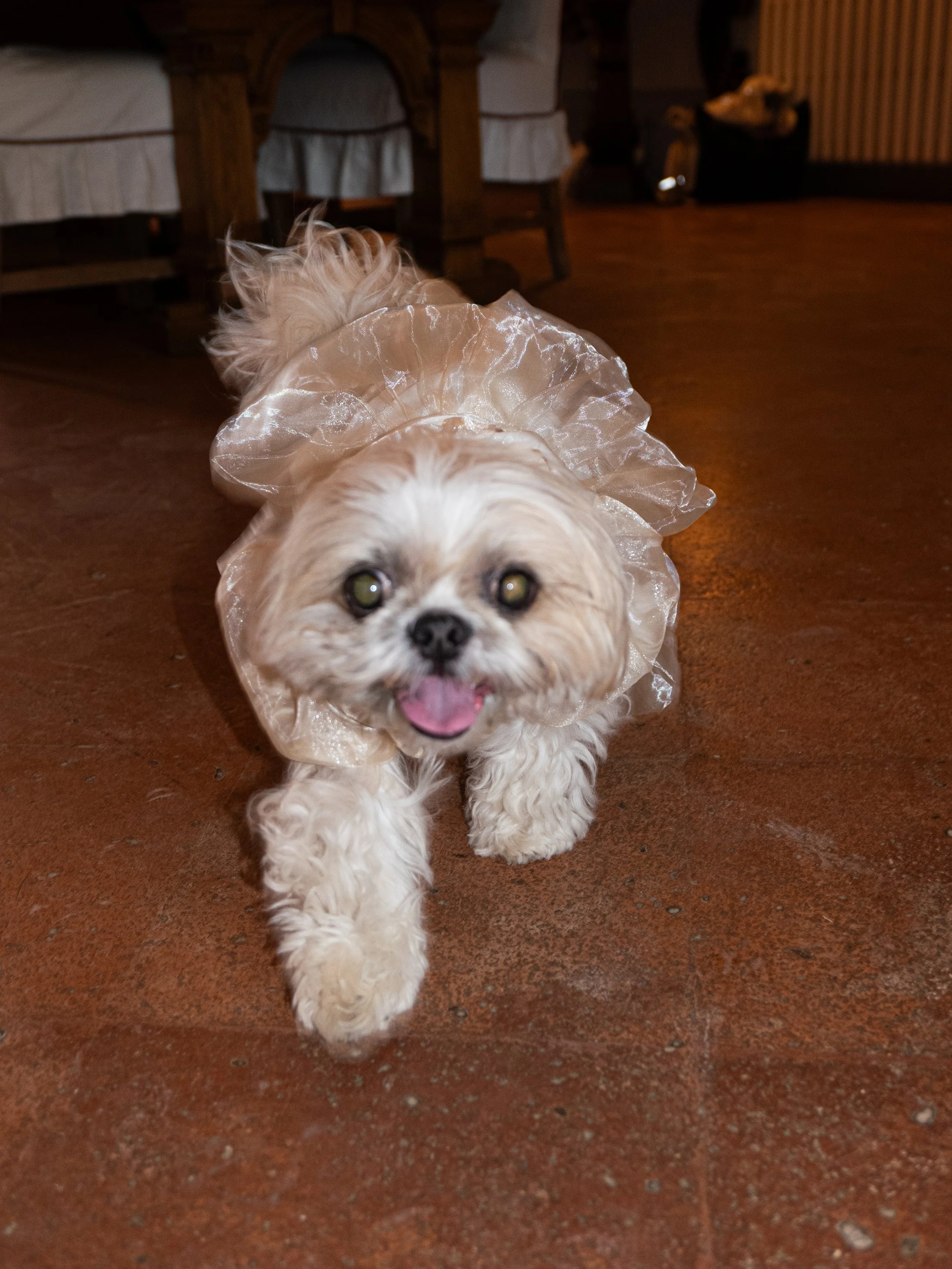 zoe-julydump (177 of 251).jpg