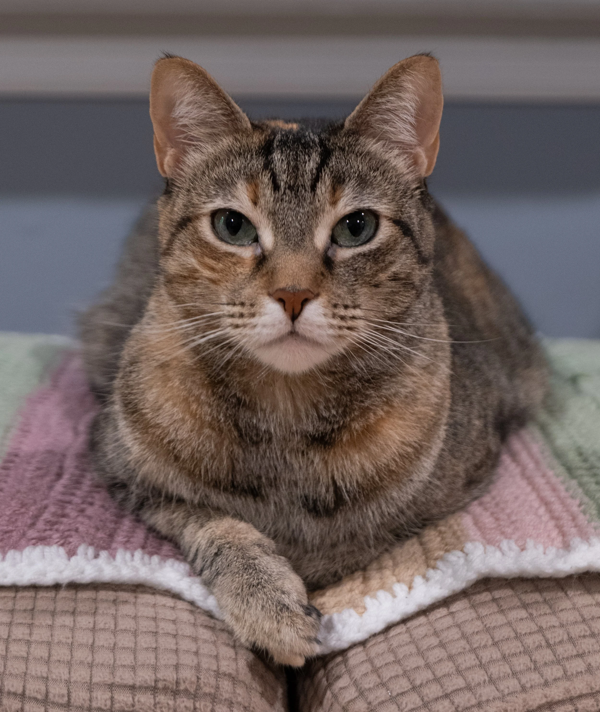 zoe-julydump (198 of 251).jpg