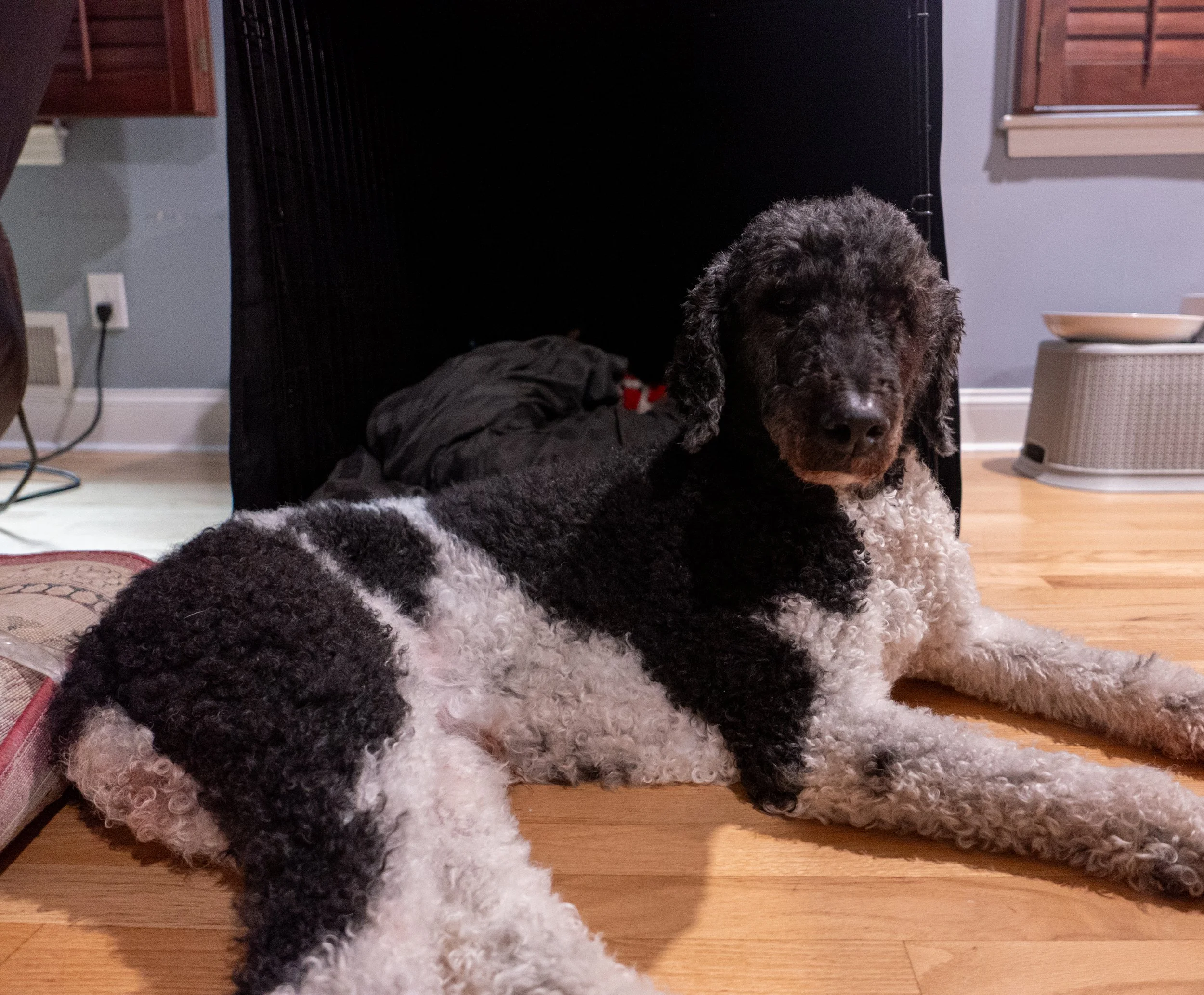 zoe-julydump (199 of 251).jpg