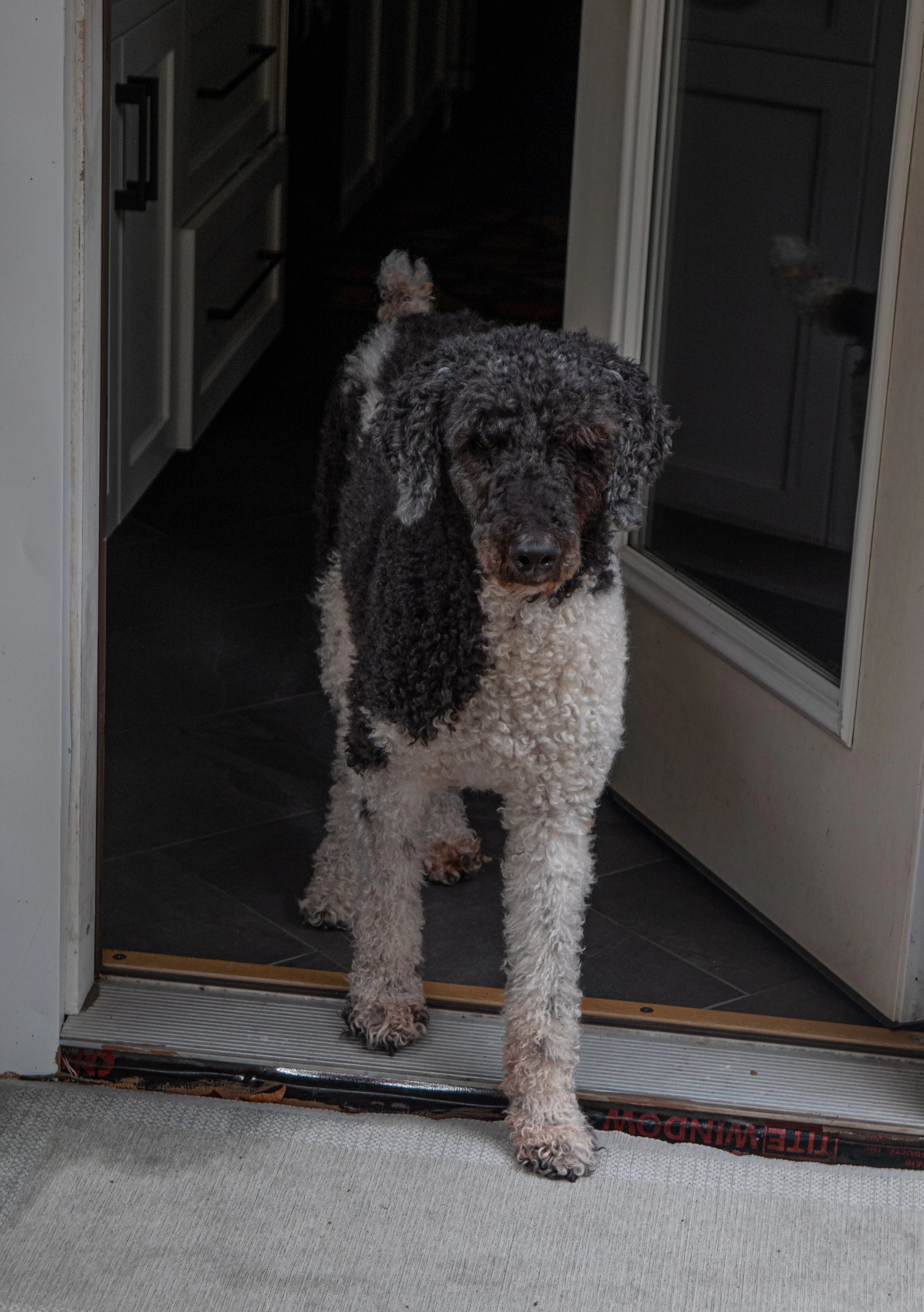 zoe-julydump (209 of 251).jpg