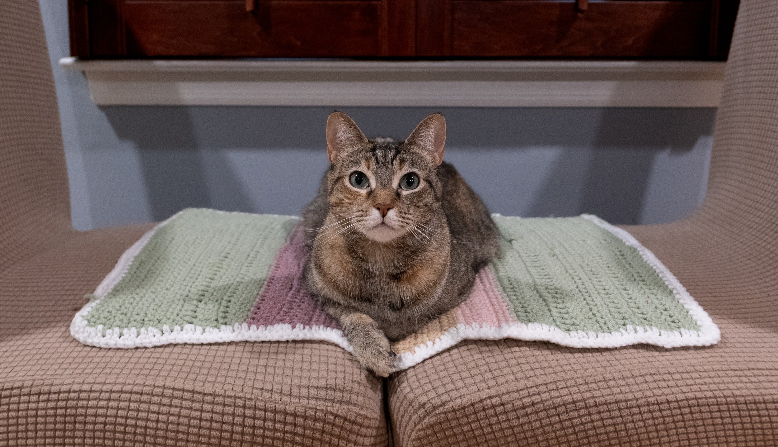 zoe-julydump (1 of 1).jpg