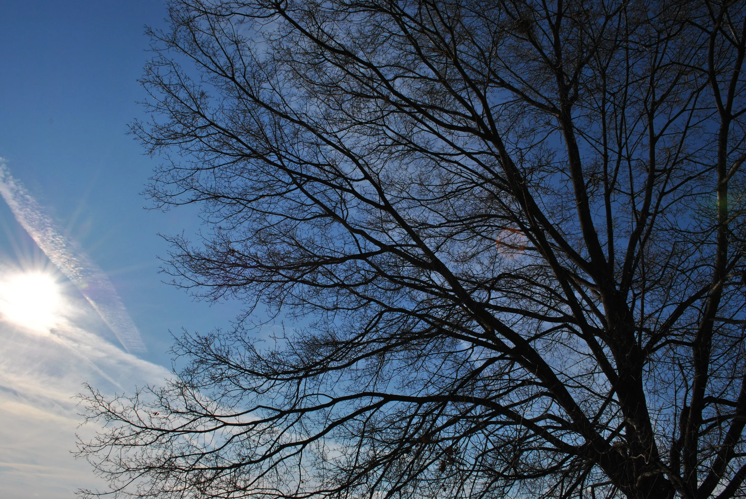 DSC_0846.JPG