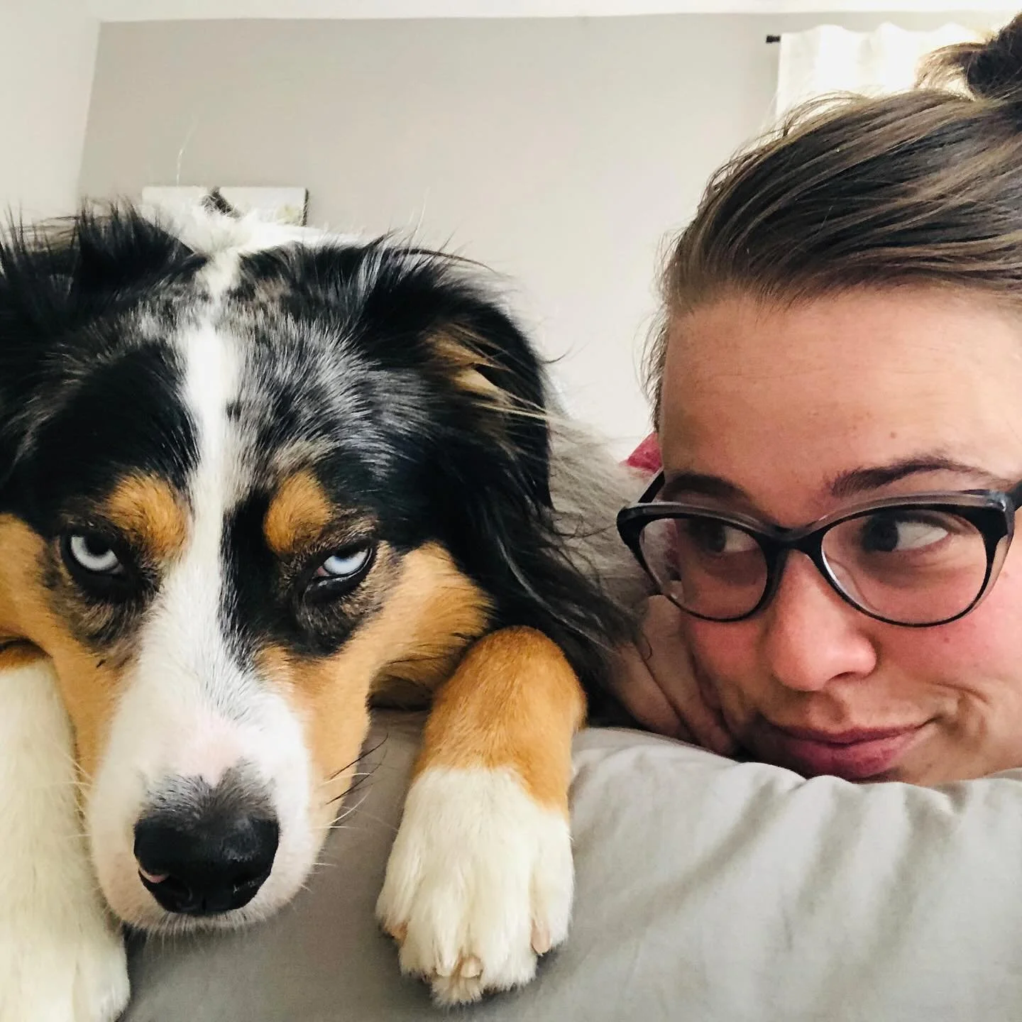 My baby is 8 years old today!! 🎂 I was originally going to do 8 of my favorite photos for his 8th birthday but I couldn&rsquo;t narrow it down! He is truly our soul dog! &hearts;️ 

He&rsquo;s the most playful, goofy, loving boy! And come on - the m