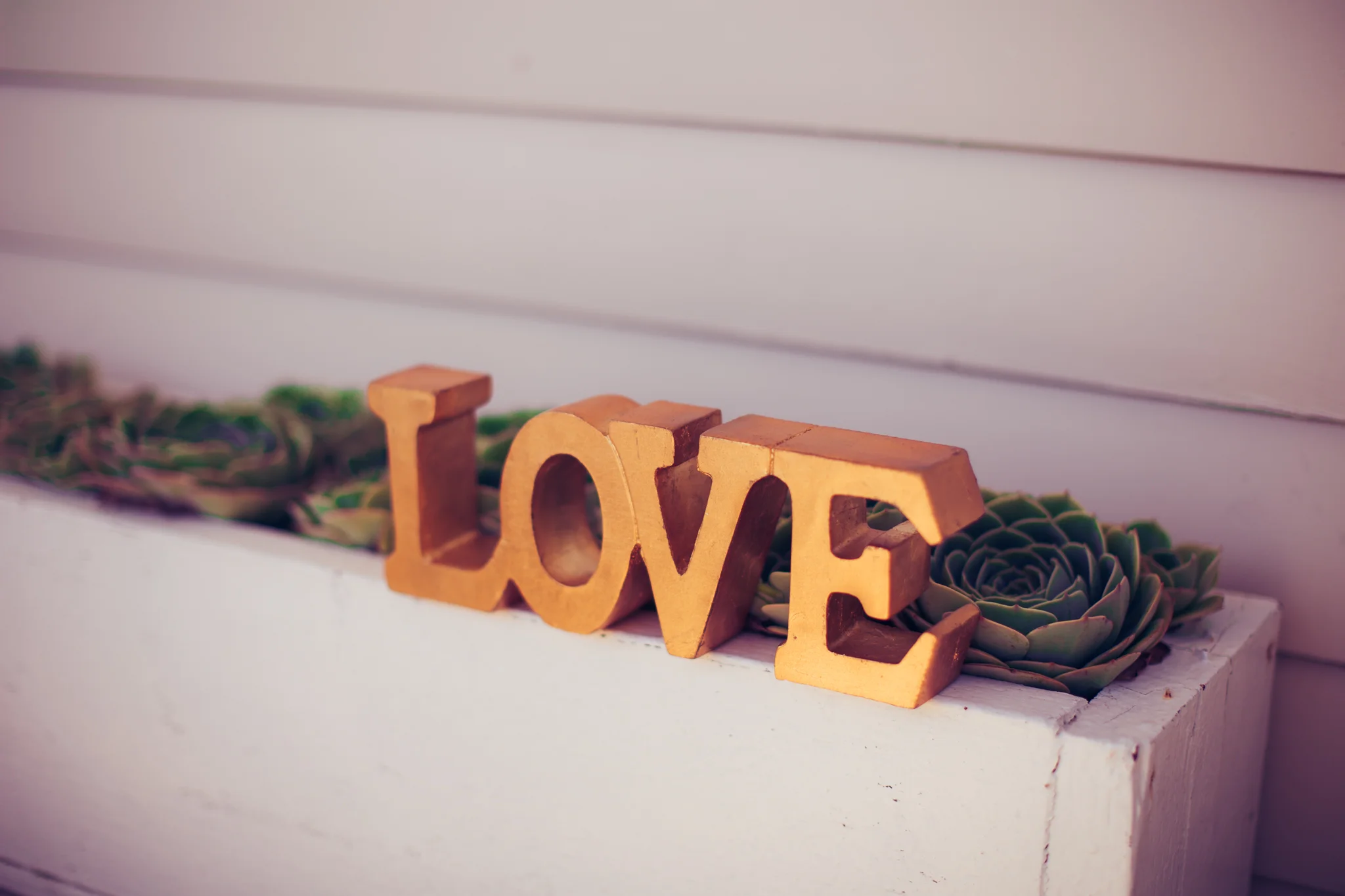 biamaweddingMosesmartinezphotography--39.jpg