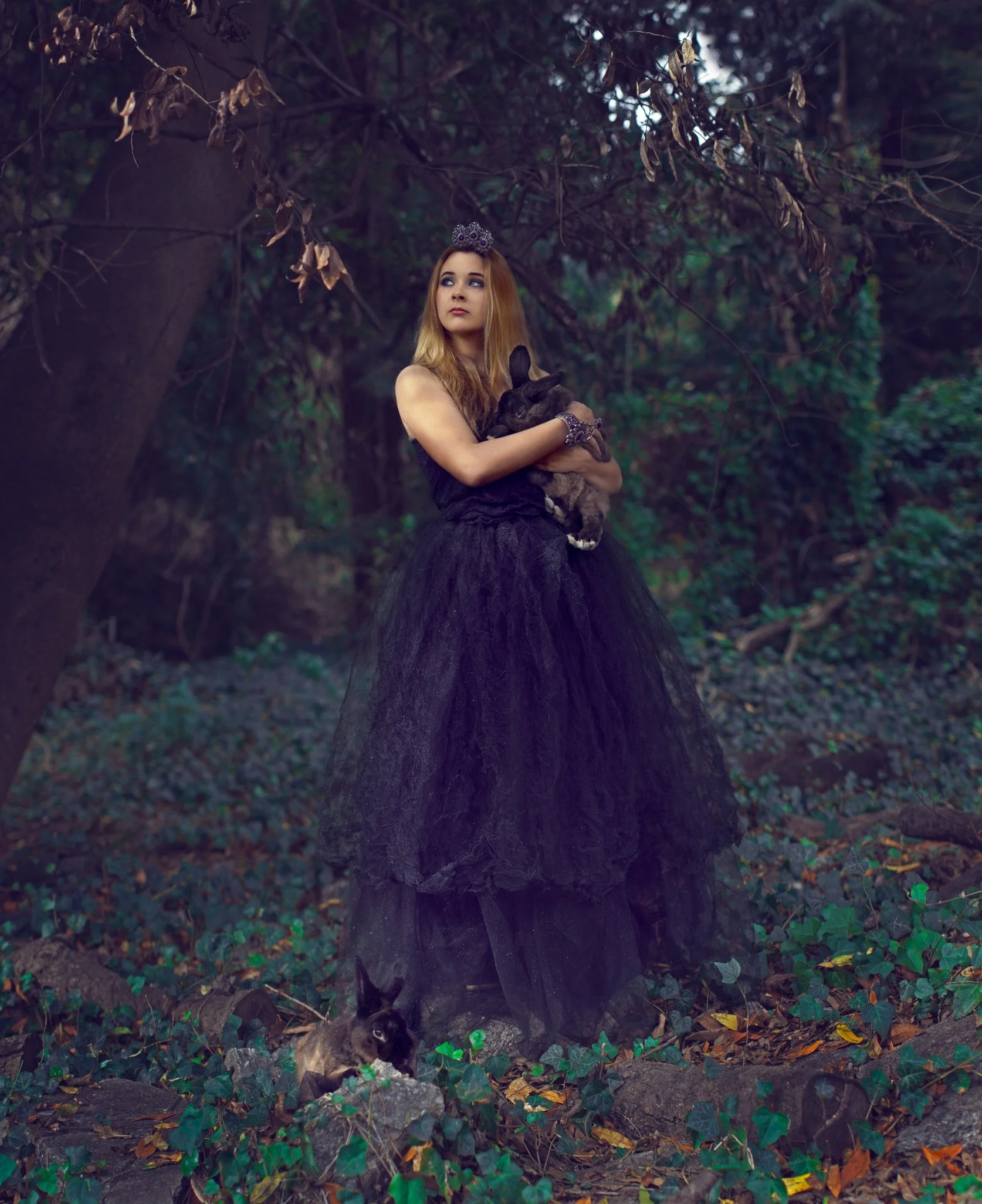 Screenshot 2025-12-04 at 9.52.31 PM.jpeg