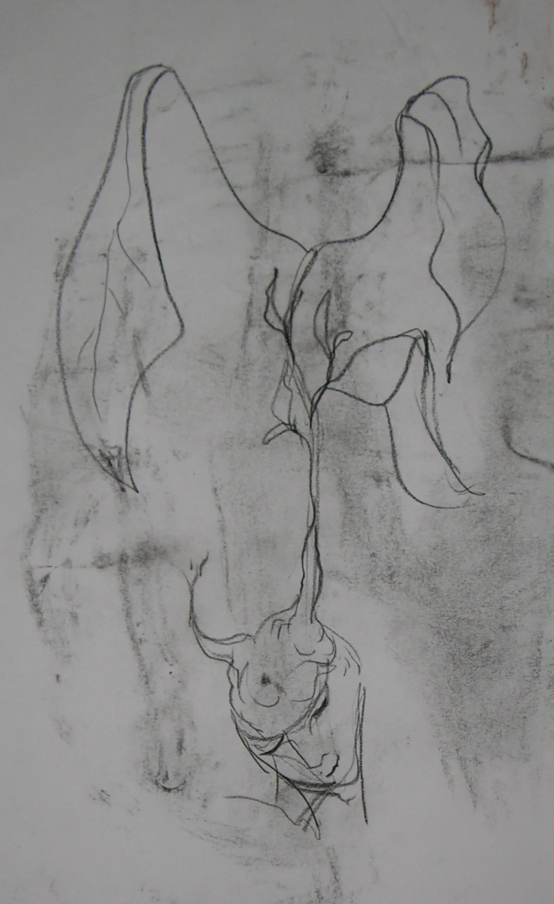 DSCN4091.JPG