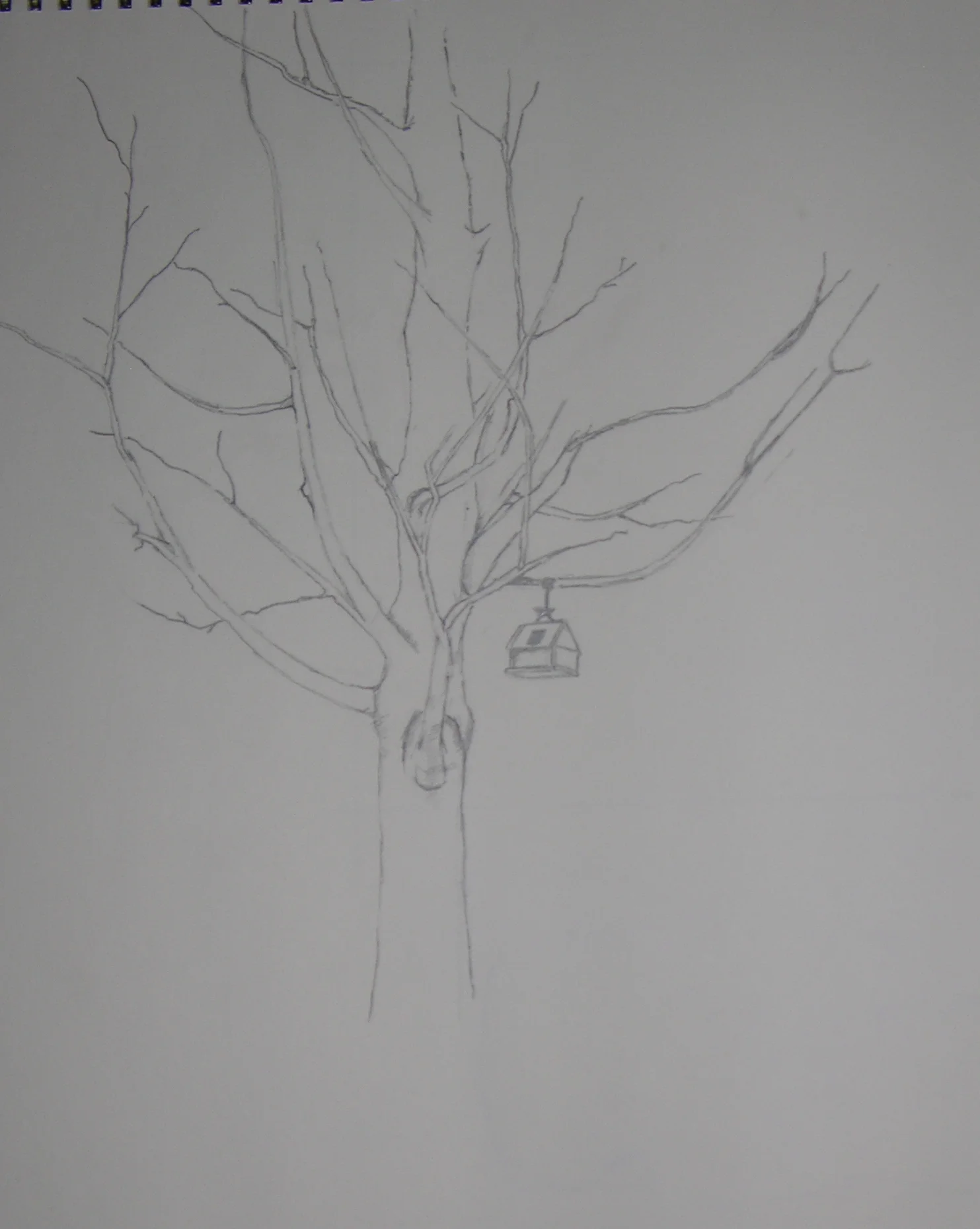 DSCN4144.JPG