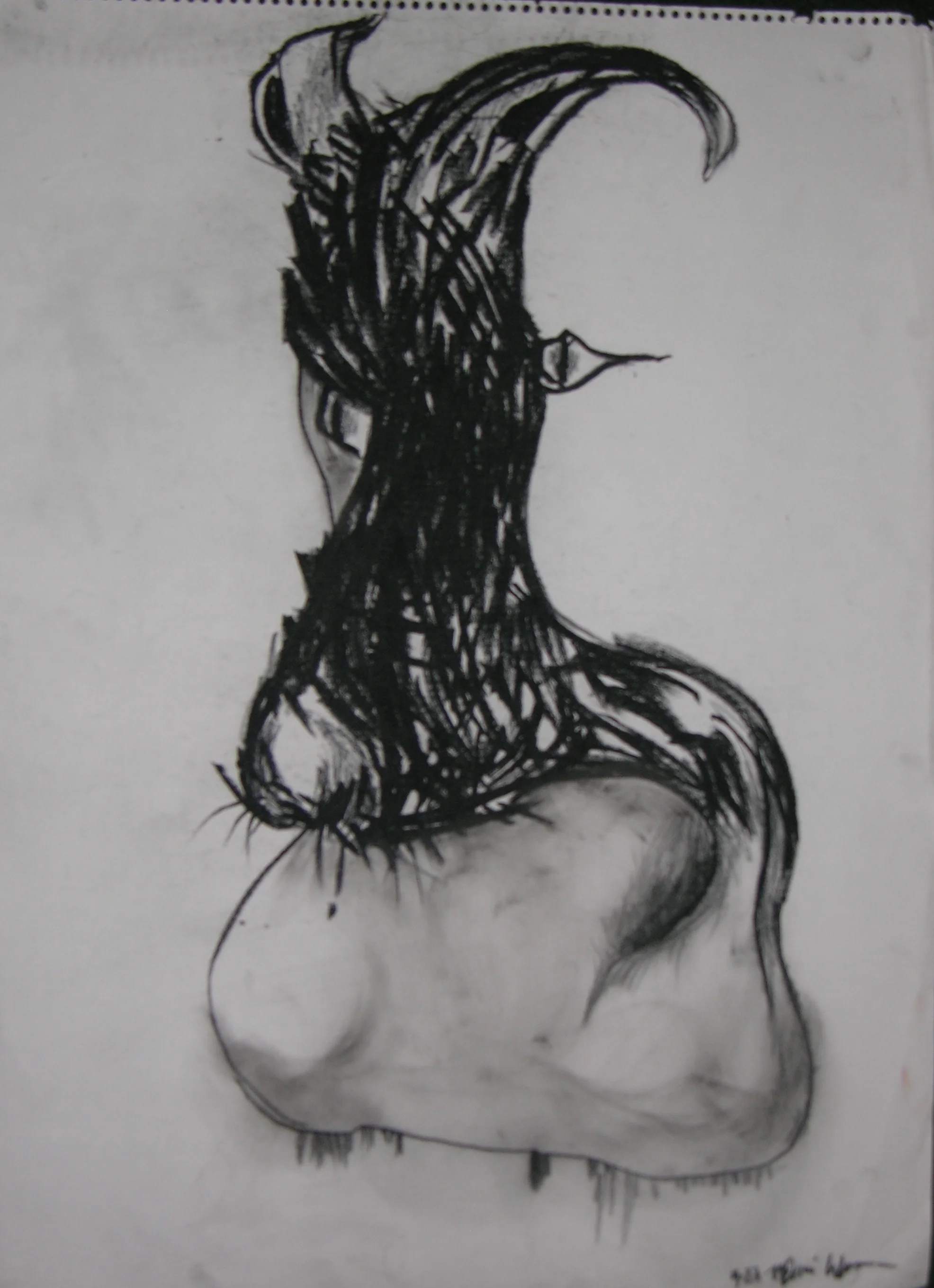DSCN4196.JPG
