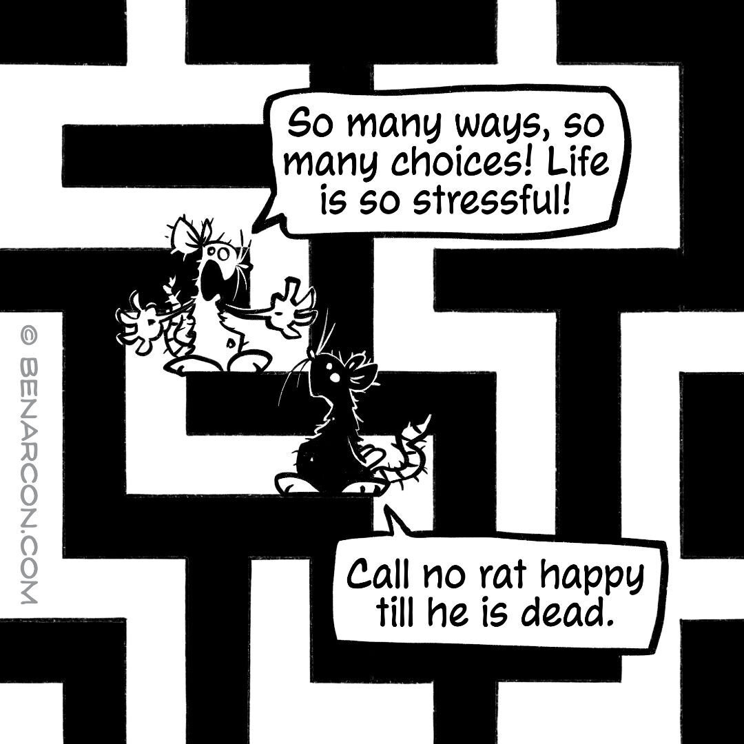 I'd say: better too many choices than none 😉
.
For more existential rat philosophy please follow @argoncomics.