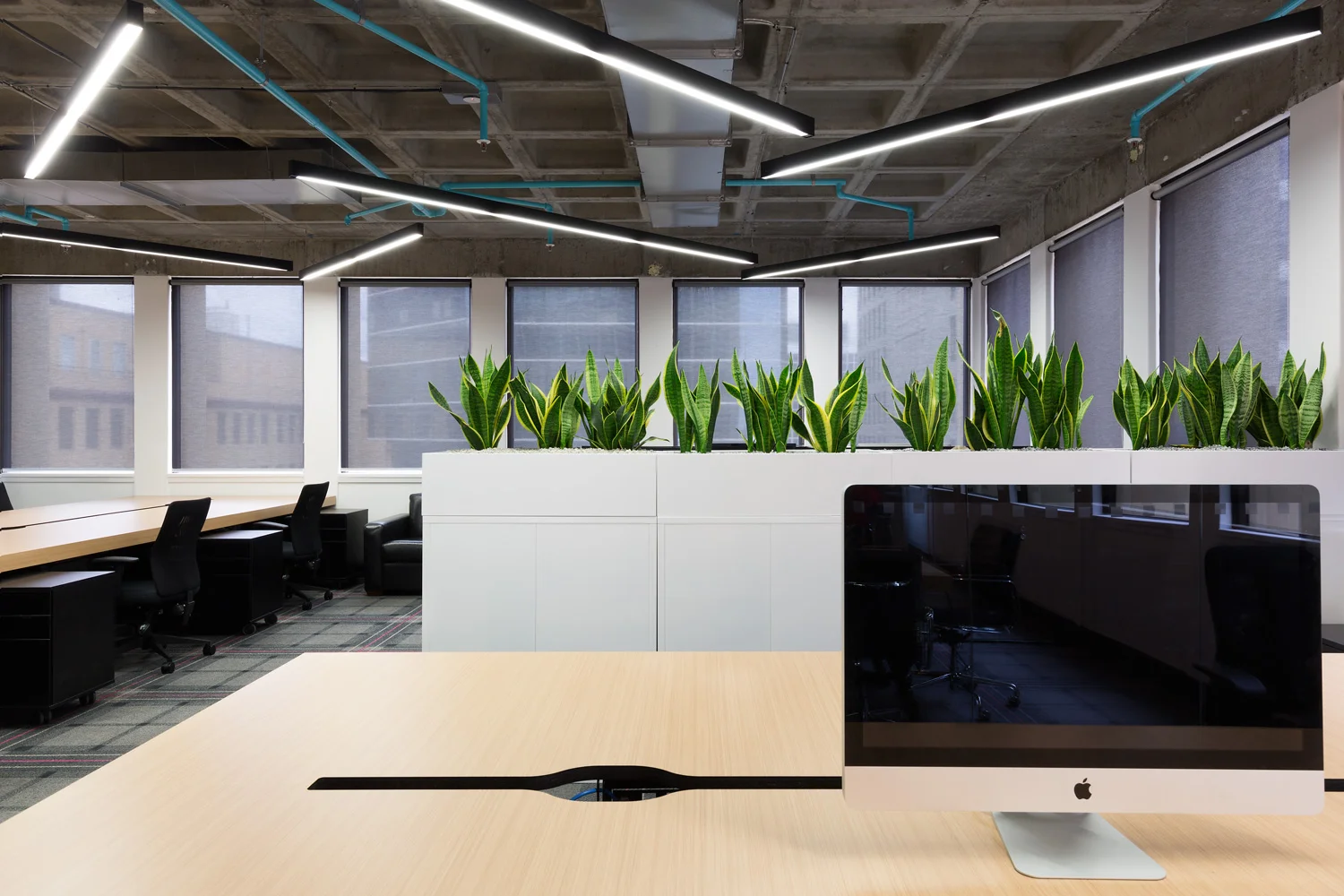 Studiomint_QueensRd_LowRes_04.jpg